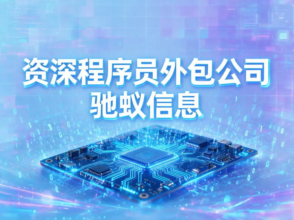 12 年资深程序员外包公司，AI 赋能一站式 IT 开发人力